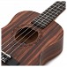 Tanglewood TWT19 Tiare Tenor Ukulele