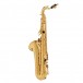 Yamaha YTS480 Intermediate Tenor Saxophone