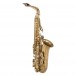 Yamaha YAS62UL Professional Alto Saxophone, Unlacquered