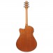 Ibanez AAM50CE-OPN, Open Pore Natural