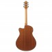 Ibanez AAM54CE-OPN, Open Pore Natural