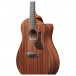 Ibanez AAM54CE-OPN, Open Pore Natural