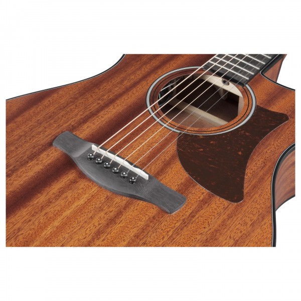 Ibanez AAM54CE-OPN, Open Pore Natural
