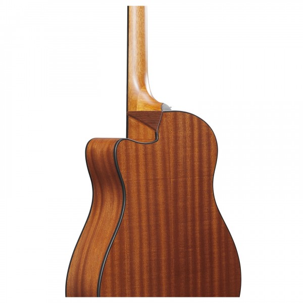 Ibanez AAM54CE-OPN, Open Pore Natural