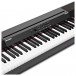 Alesis Prestige 88-Key Digital Piano