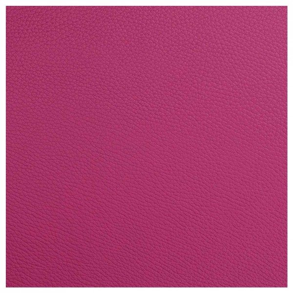 BAM L'Etoile Case For 6 Violin, Viola & Cello Bows, Raspberry Red