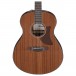 Ibanez AAM54-OPN, Open Pore Natural