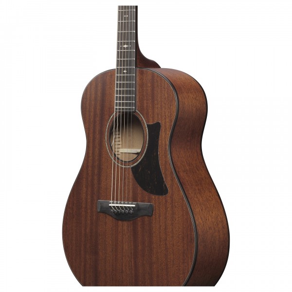 Ibanez AAM740E-LG, Natural Low Gloss