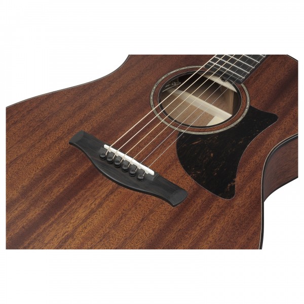 Ibanez AAM740E-LG, Natural Low Gloss