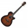 Ibanez AEG74, Mahogany Sunburst High Gloss