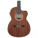 Ibanez GA5MHTCE-OPN, Open Pore Natural