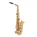 Leblanc LAS511 Avant Alto Saxophone, Gold Lacquer