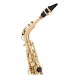 Leblanc LAS511 Avant Alto Saxophone, Gold Lacquer