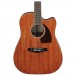 Ibanez PF16MWCE-OPN, Open Pore Natural