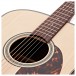 Takamine FN340 BS Electro Acoustic, Spruce/Sapele