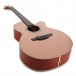 Takamine Limited Edition 2023 Santa Fe Electro Acoustic