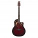 RB-230NT-SECONDHAND-CCG8275