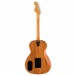 Fender Highway Series Parlor Electro Acoustic RW, Natural - Back