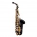 Jupiter JAS1100 Eb Alto Saxophone, Gilded Onyx