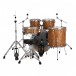 Ludwig Evolution 22'' 5pc Drum Kit, Cherry - Back