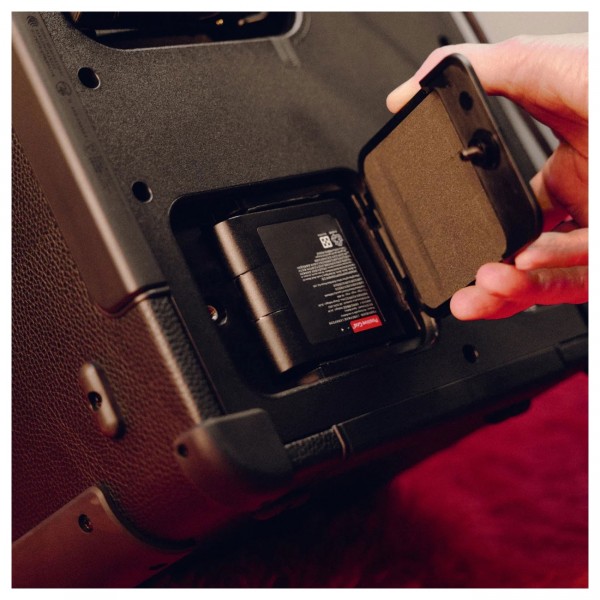 Positive Grid Spark Battery