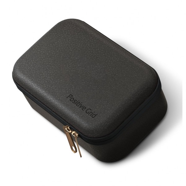 Positive Grid Spark Go Case