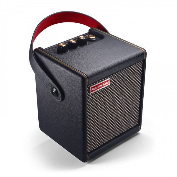 Positive Grid Spark Mini