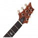 PRS DGT Birds, Aquamarine #0361839