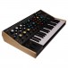 Pittsburgh Modular Taiga Keyboard Synthesizer - Angled 4
