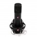 sE Electronics SE2200 Large-Diaphragm Condenser Microphone - Secondhand