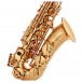 Odyssey OAS130 Debut Alto Saxophone Outfit