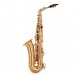 Odyssey OAS130 Debut Alto Saxophone Outfit