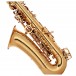 Odyssey OAS130 Debut Alto Saxophone Outfit