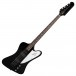 Gibson Thunderbird 2018, Ebony