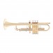 Courtois T.O.M.A Bb Quarter Tone Trumpet, Lacquer