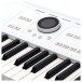 Arturia Astrolab 61-Note Synthesizer - Display 