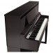 Roland LX-6 Digital Piano, Dark Rosewood - side 