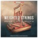 SoundIron Hopkin Instrumentarium: Weighted Strings