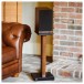Acoustic Energy AE100 MK2 Bookshelf Speakers (Pair), Walnut Lifestyle View