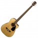 Fender CB-100CE Electro Acoustic Bass, Natural