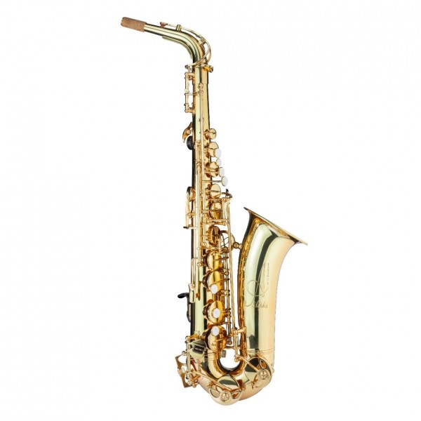 Trevor James AlphaSax Alto Saxophone Outfit, Gold Lacquer
