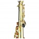 Trevor James AlphaSax Alto Saxophone Outfit, Gold Lacquer - neck