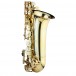 Trevor James AlphaSax Alto Saxophone Outfit, Gold Lacquer