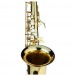 Trevor James AlphaSax Alto Saxophone Outfit, Gold Lacquer