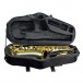 Trevor James AlphaSax Alto Saxophone Outfit, Gold Lacquer