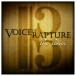 SoundIron Voice of Rapture: The Tenor