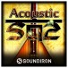 SoundIron Acoustic Saz