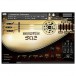 SoundIron Acoustic Saz