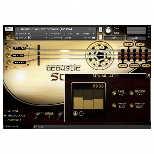 SoundIron Acoustic Saz