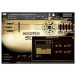 SoundIron Acoustic Saz